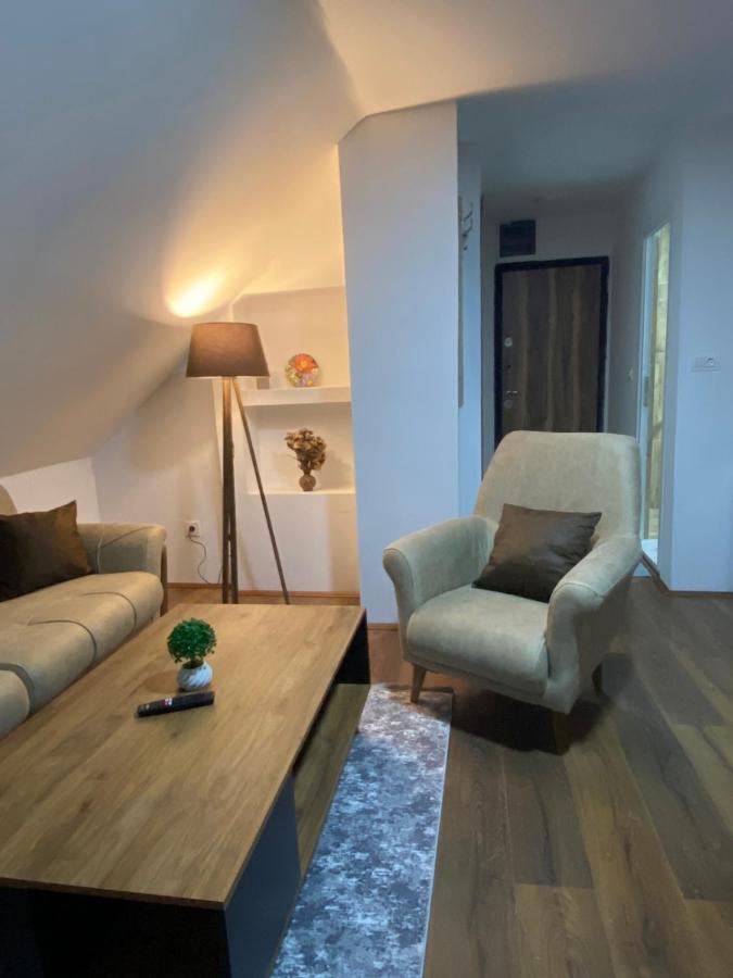 Vila Simona Mavrovo Ngoại thất bức ảnh